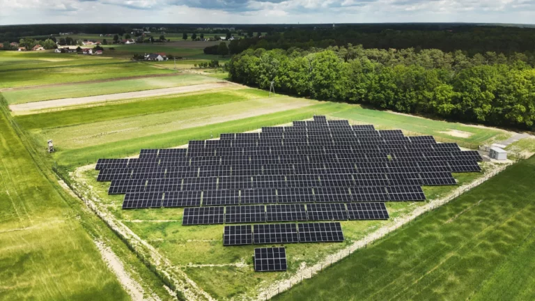 Duża farma fotowoltaiczna z panelami słonecznymi ustawionymi w równych rzędach na polu, otoczona zielonym lasem – produkcja czystej energii odnawialnej.