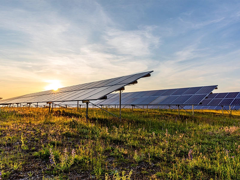 Panorama farmy fotowoltaicznej w Polsce, pokazująca duże pole pokryte panelami słonecznymi produkującymi czystą energię odnawialną.